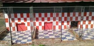 Exclusivo: Habla el dueño del criadero acusado de maltrato animal en Curacaví