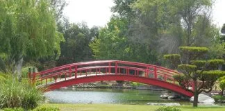 #COQUIMBO El Parque Japonés, el pulmón verde de La Serena