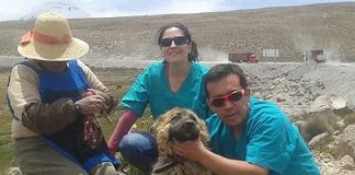 #ARICA Financian proyecto para control de mascotas en la Reserva de Biosfera Lauca