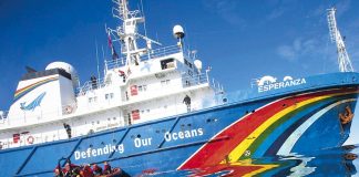 Llega a Chile el barco más grande de Greenpeace