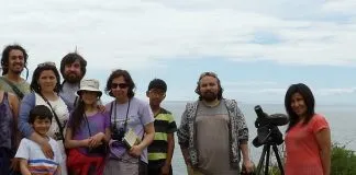 #LOSLAGOS Celebran el día de la Gaviota en Ancud