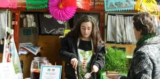 #SANTIAGO Feria Verde en Centro Cultural Estación Mapocho trae propuestas para una vida ecológica