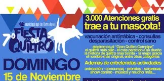 #SANTIAGO Este domingo se realizará una nueva Fiesta del Quiltro en Cerro Navia