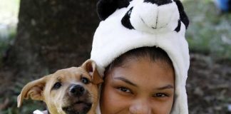 #COLOMBIA Tras tercer debate, aprueban ley contra el maltrato animal