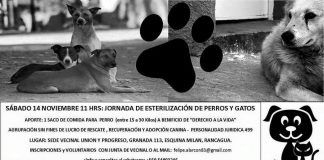#OHIGGINS Harán operativo de esterilización a bajo costo a beneficio de agrupación animalista