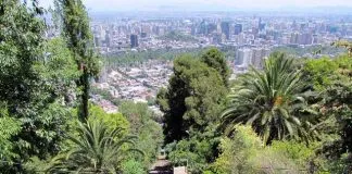 #SANTIAGO Utilizan humus de elefante para reforestar el Parque Metropolitano