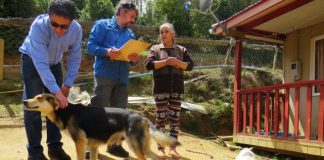 #LAARAUCANIA Realizan campaña de vacunación y desparasitación para los perros del Parque Nacional Nahuelbuta