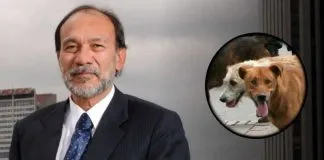 #COLOMBIA Piden modificar la norma que dice que los animales son cosas
