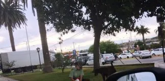#COQUIMBO La historia detrás de la fotografía de una carabinera que alimenta a un perro