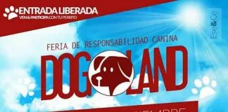 #SANTIAGO Realizarán segunda Feria de Responsabilidad Canina este sábado