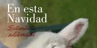 #OPINION Un gran regalo para quienes más lo necesitan