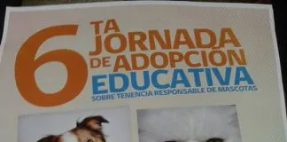 #SANTIAGO Realizarán sexta jornada de adopción y tenencia responsable en San Bernardo