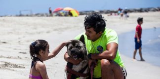 #ANTOFAGASTA Conozca a Kafir, el perro que dejó las calles y se convirtió en un salvavidas