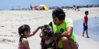 #ANTOFAGASTA Conozca a Kafir, el perro que dejó las calles y se convirtió en un salvavidas
