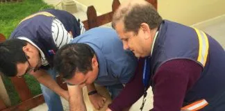 #COQUIMBO Autoridad Sanitaria activa protocolos por murciélago con rabia encontrado en La Serena