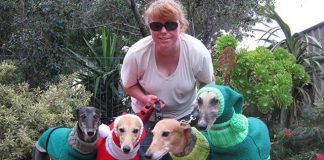 #REINOUNIDO Mujer renunció a su trabajo para ayudar a perros abandonados