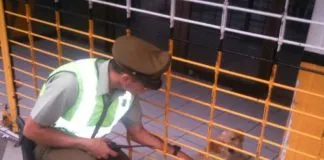 #ARICA Perro quedó encerrado en local de Chile Express de la capital regional