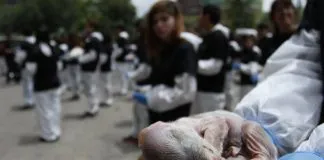 #SANTIAGO Impactante protesta de Elige Veganismo en contra del maltrato animal en Plaza Italia