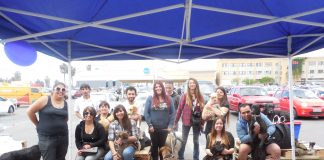 #COQUIMBO La historia de ayuda y entrega por los animales de la Corporación Animalistas Coquimbo- La Serena