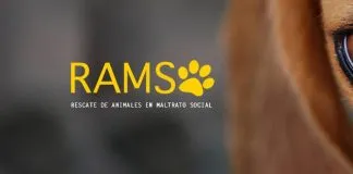 #SANTIAGO ¡Ayuda a Refugio de la Corporación RAMS a vacunar a sus perros¡