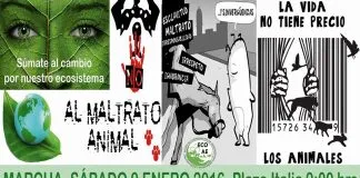 #SANTIAGO Realizarán marcha pro animal este sábado