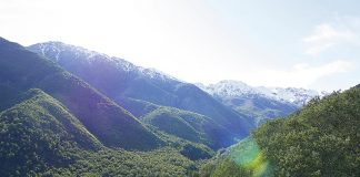 Convocan a participar en Primer Festival Ladera Sur 2022, enfocado en la naturaleza