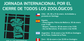 #SANTIAGO Realizarán jornada internacional para exigir el cierre de los Zoo en el mundo entero