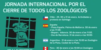 #SANTIAGO Realizarán jornada internacional para exigir el cierre de los Zoo en el mundo entero