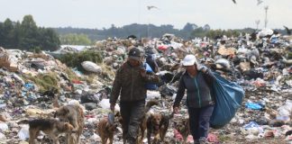 #LOSLAGOS Preocupación por 200 canes que podrían quedar abandonados en vertedero