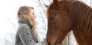 #ESTUDIO Los caballos pueden reconocer las emociones en los rostros humanos