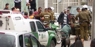 #AYSEN Acusan de maltrato animal a funcionario de Carabineros durante procedimiento policial