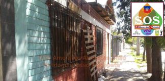 #SANTIAGO Denuncian que sujeto con problemas mentales maltrata gravemente a animales en Lo Prado