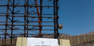 #ANTOFAGASTA Una pareja de colibríes recién nacidos paralizó una construcción en la capital regional