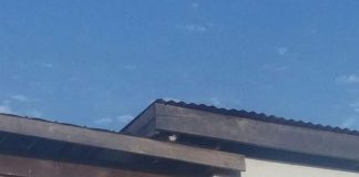 #VALPARAISO «Desesperada» joven sanantonina pide ayuda para rescatar a su gatito atrapado