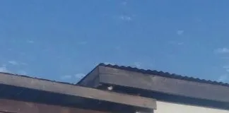 #VALPARAISO «Desesperada» joven sanantonina pide ayuda para rescatar a su gatito atrapado