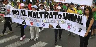 #OHIGGINS Detienen en Codegua a sujeto acusado de maltrato animal