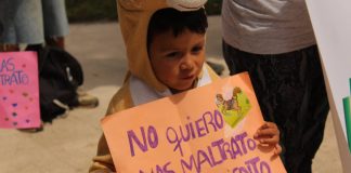 #VALPARAISO Animalistas exigen el remplazo de los caballos en los Coches Victoria de Viña del Mar