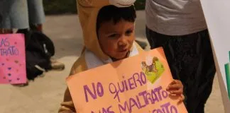 #ANTOFAGASTA Rescatistas hacen un llamado a denunciar los casos de maltrato animal