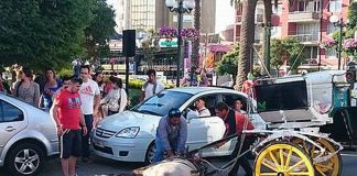 Florencia Trujillo y los Coches Victoria: «Tenemos pruebas indesmentibles de que existe una cultura de maltrato animal»
