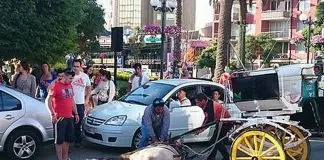 Florencia Trujillo y los Coches Victoria: «Tenemos pruebas indesmentibles de que existe una cultura de maltrato animal»