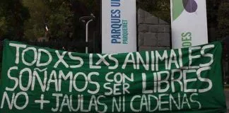 #SANTIAGO Apuntando a la reconversión de los zoológicos, pensando en los animales
