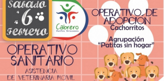 #BIOBIO Harán operativo para animales en Cabrero