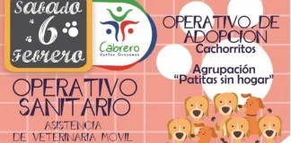 #BIOBIO Harán operativo para animales en Cabrero