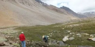 #COQUIMBO Desarrollan plan de manejo para Santuario de la Naturaleza en el Valle de Elqui