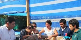 #COQUIMBO Vecinos de Vallenar reciclaron gracias al apoyo del Fondo de Protección Medioambiental