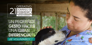 #SANTIAGO Realizarán nuevo operativo de voluntariado este domingo en el Refugio Esperanza