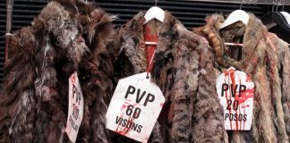 #ITALIA Armani se compromete con la causa animalista: no usará más pieles en sus prendas