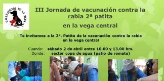 #SANTIAGO Únete a la Jornada de Vacunación en La Vega Central