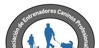 #SANTIAGO APDT Chile: una gran oportunidad de educación continua para los entrenadores caninos