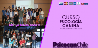 #SANTIAGO Ven a ser Uno Más de la Manada, no te pierdas el Curso Educación y Psicología Canina